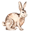 Husa, kachna, králík